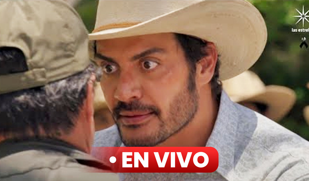 "Land of hope", chapter 15 where to see LIVE the novel with Carolina