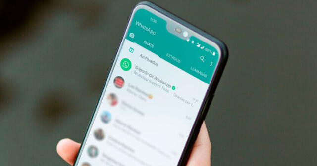 WhatsApp: ¿por qué a veces apareces 'en línea' aunque ya no estés usando la aplicación?