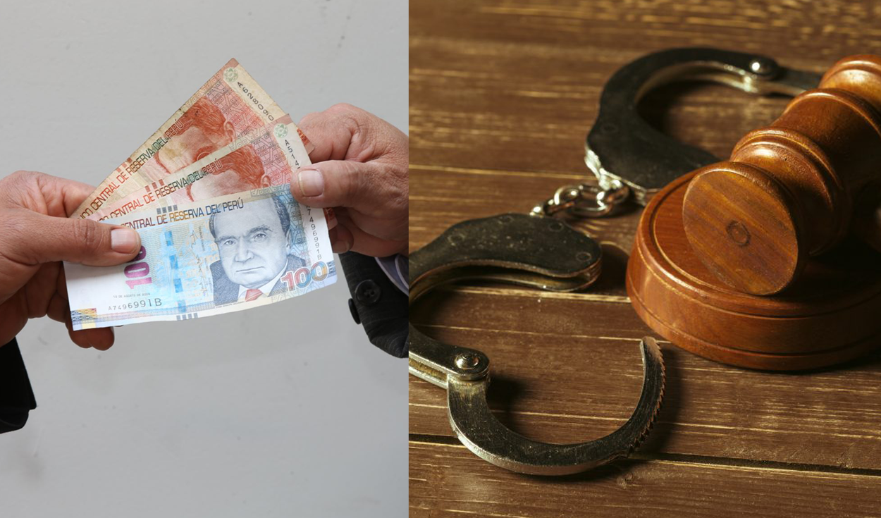 What would be the penalties for employers who appropriate pension funds?