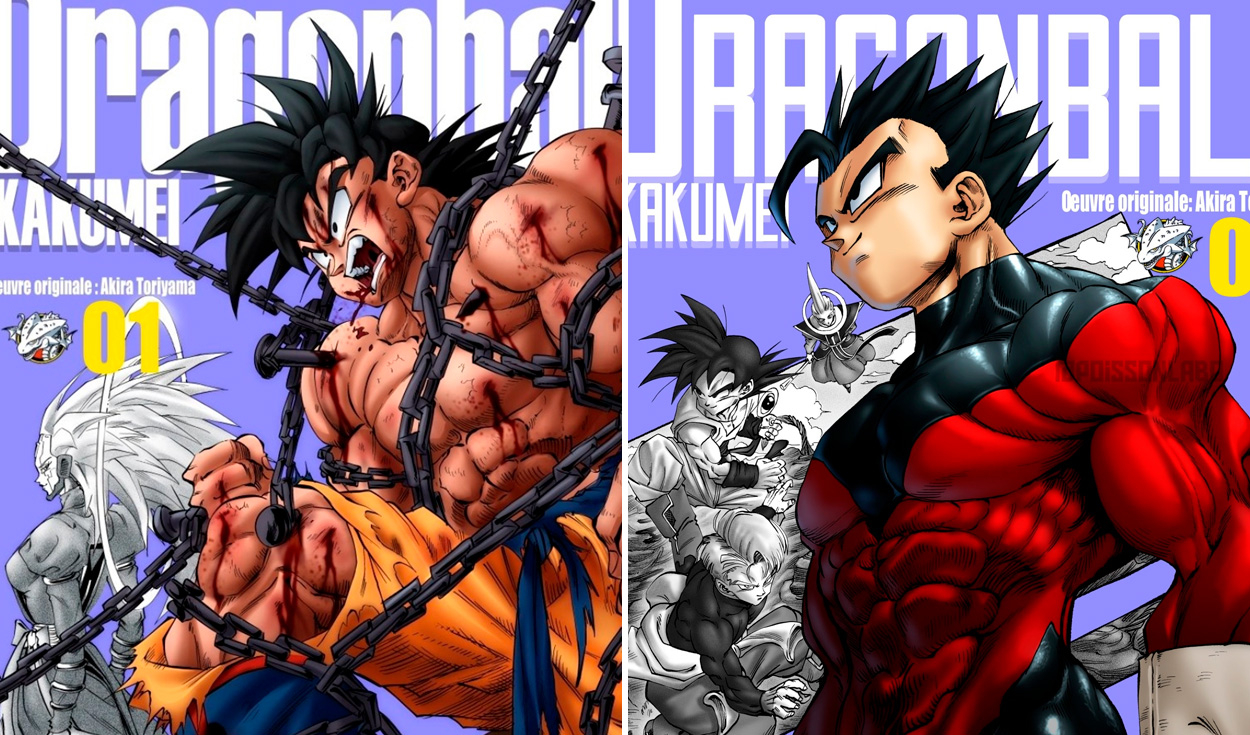 What to expect from a potential Dragon Ball Kakumei Anime adaptation?