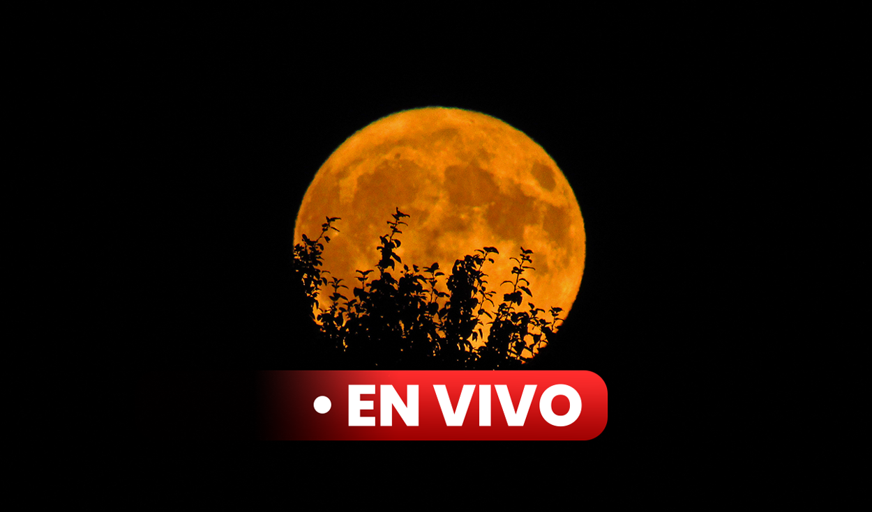 ¿a Qué Hora Ver La Superluna Hoy Mira En Vivo La Luna Llena De Agosto 2023 En México Colombia