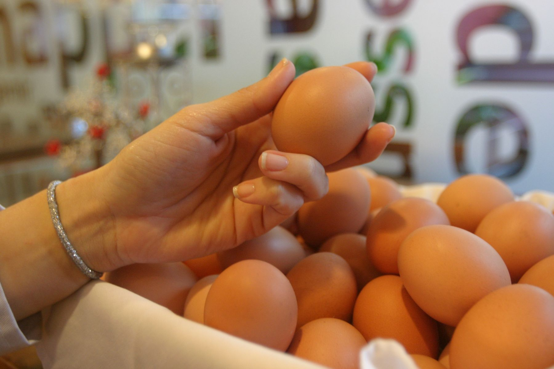 Avisur denounces massive entry of contraband eggs from Ecuador and Bolivia