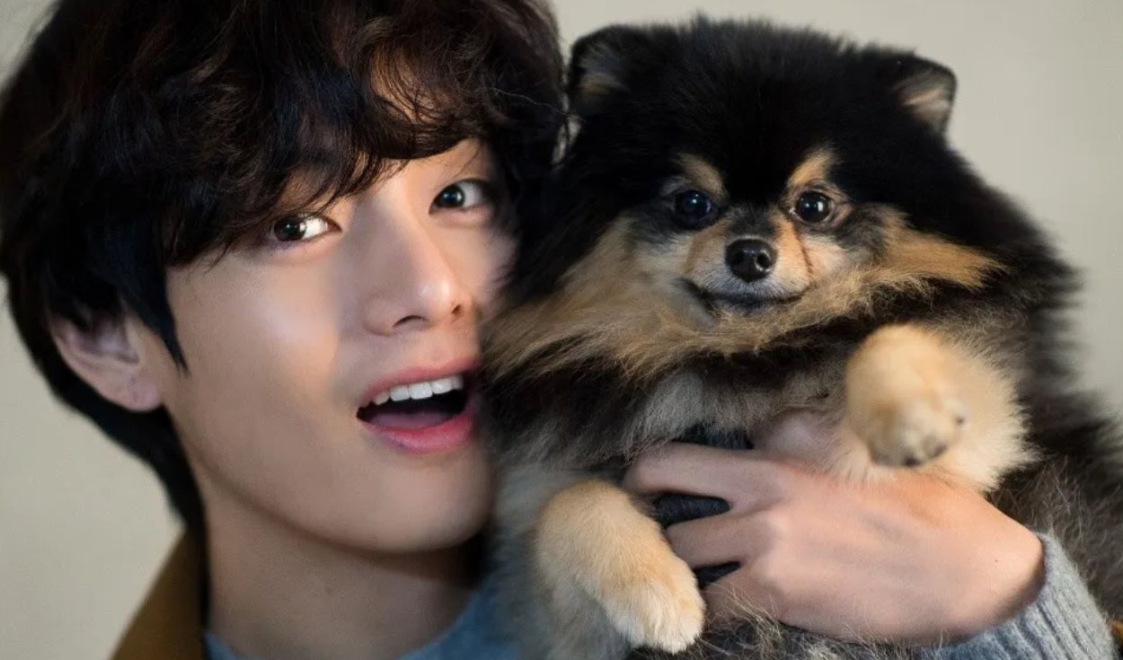 Como Se Llama El Perro De Taehyung