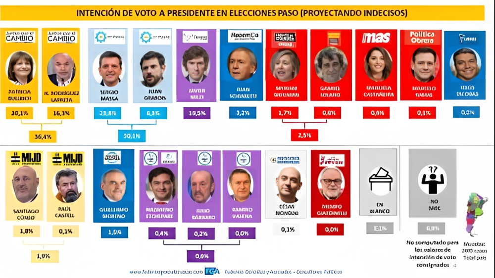 ¿Quién Va Ganando Las PASO Argentina, Según La última Encuesta ...