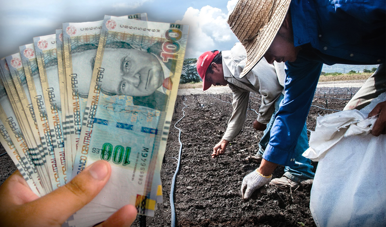 Fertiabono 2: beneficiaries will be able to collect the subsidy until Thursday, August 31
