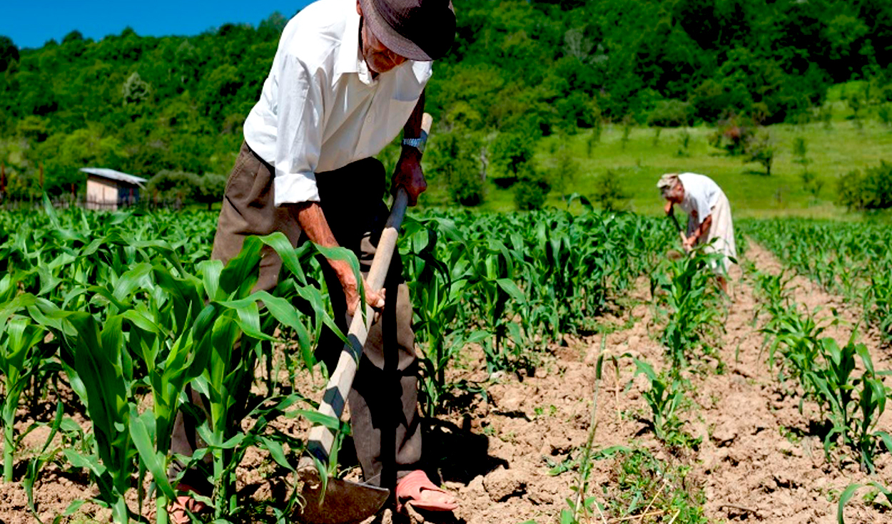 Agriculture 4.0: what is it and how will it transform food production?