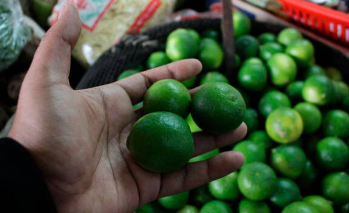 Find out the prices of basic necessities in Arequipa: lemon costs S/9 per kilo