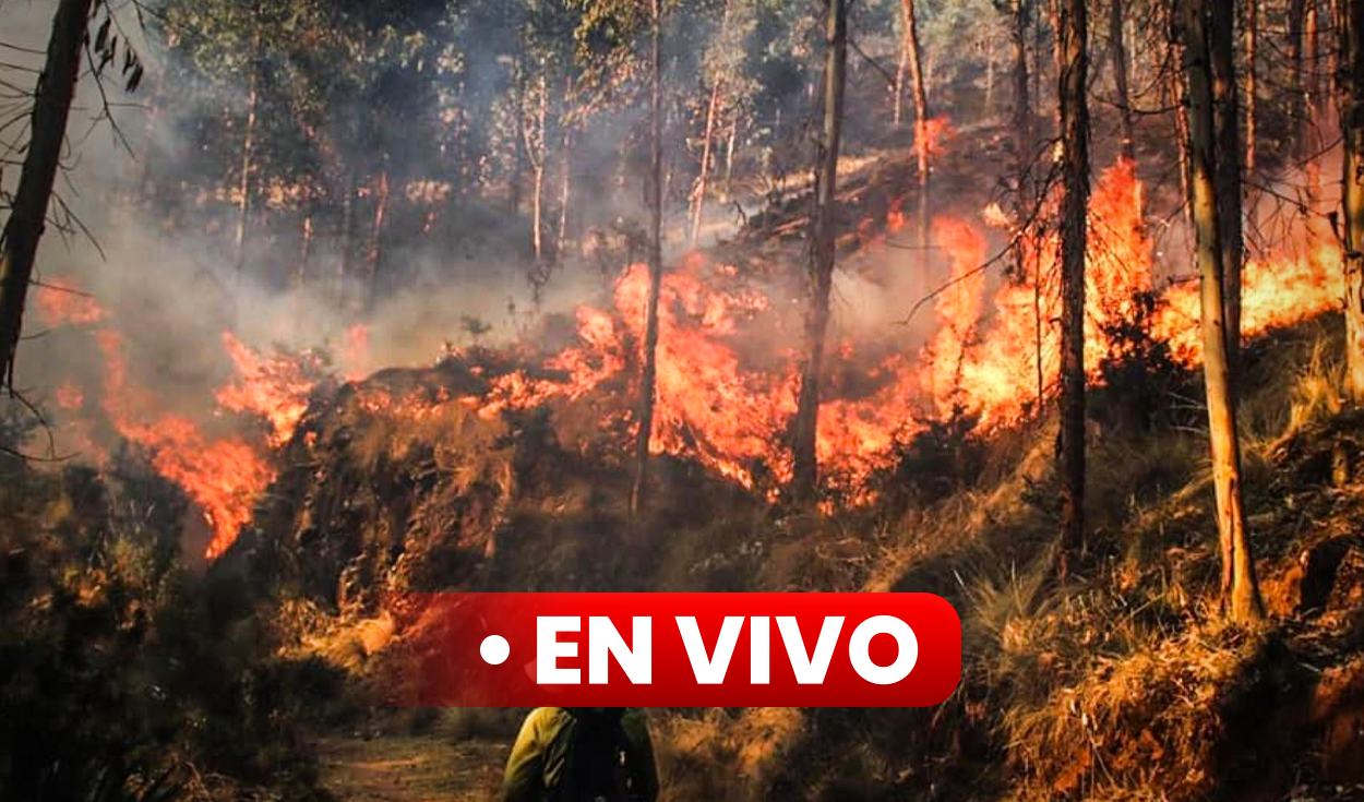 Yarita Lizeth realizó el salto del tigre y se lanzó sobre sus fanáticos en  Puno | Ilave | Mis cuernos | Patric Lundberg | LRSD | NVB | Espectáculos |  La República