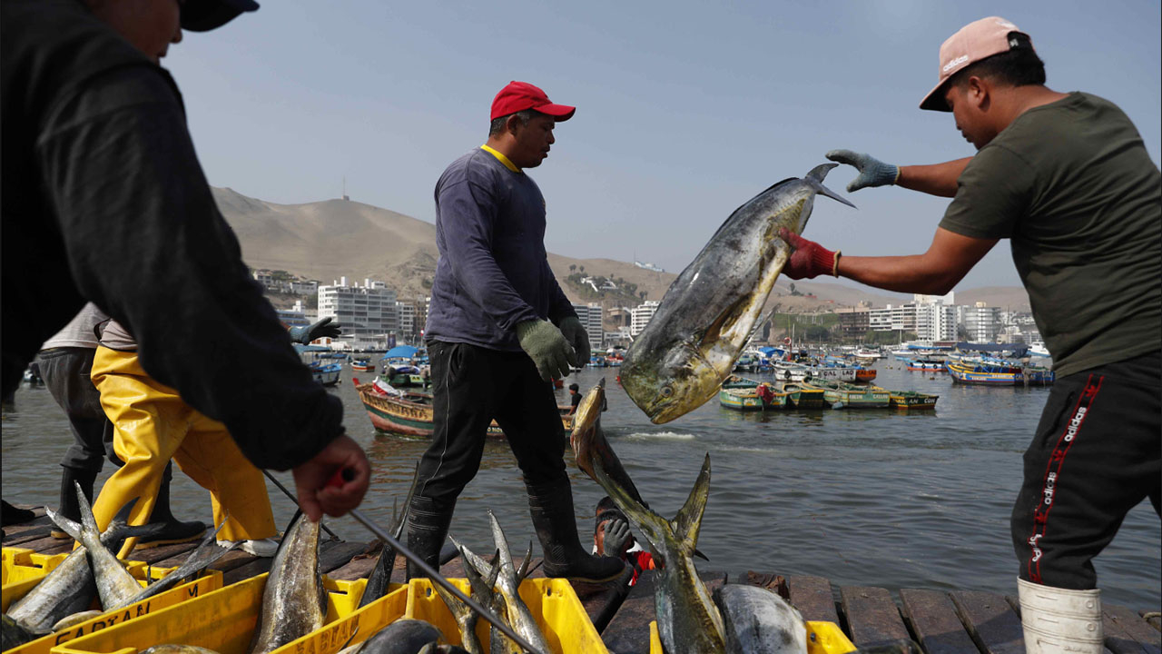 Government formalizes base pension of S/360 for retirees from the fishing sector
