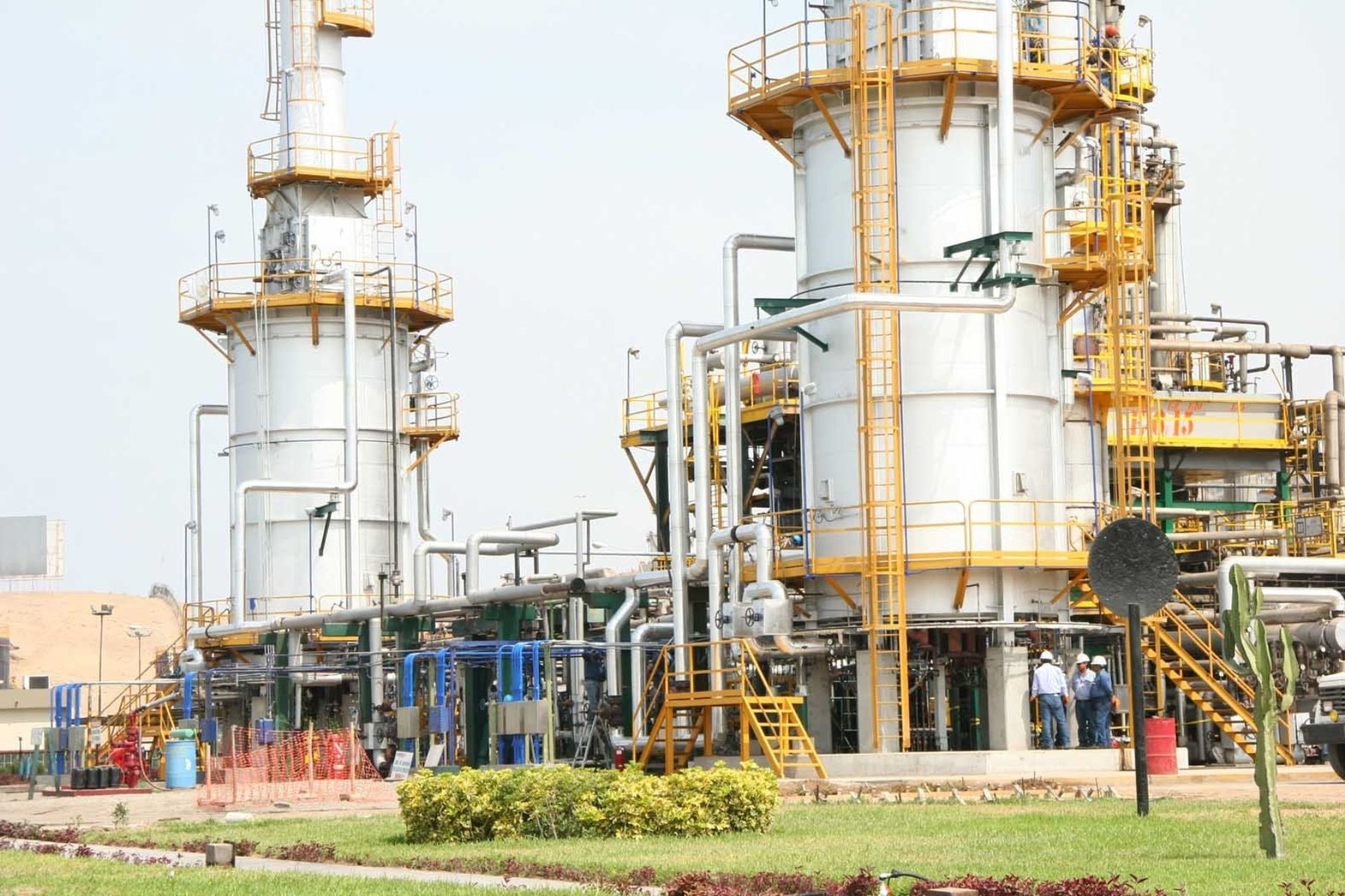Alex Contreras: 4 international companies have an interest in the petrochemical plant