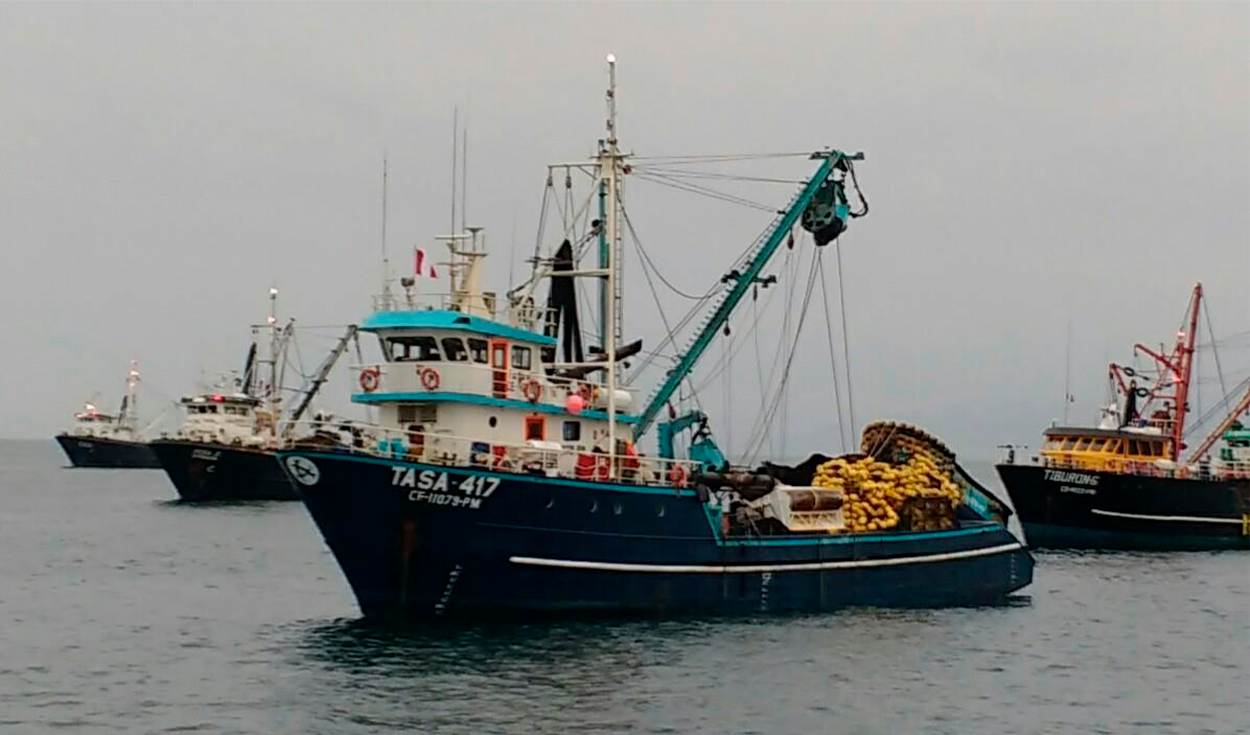 Ministry of Production will decide to open the second fishing season in October