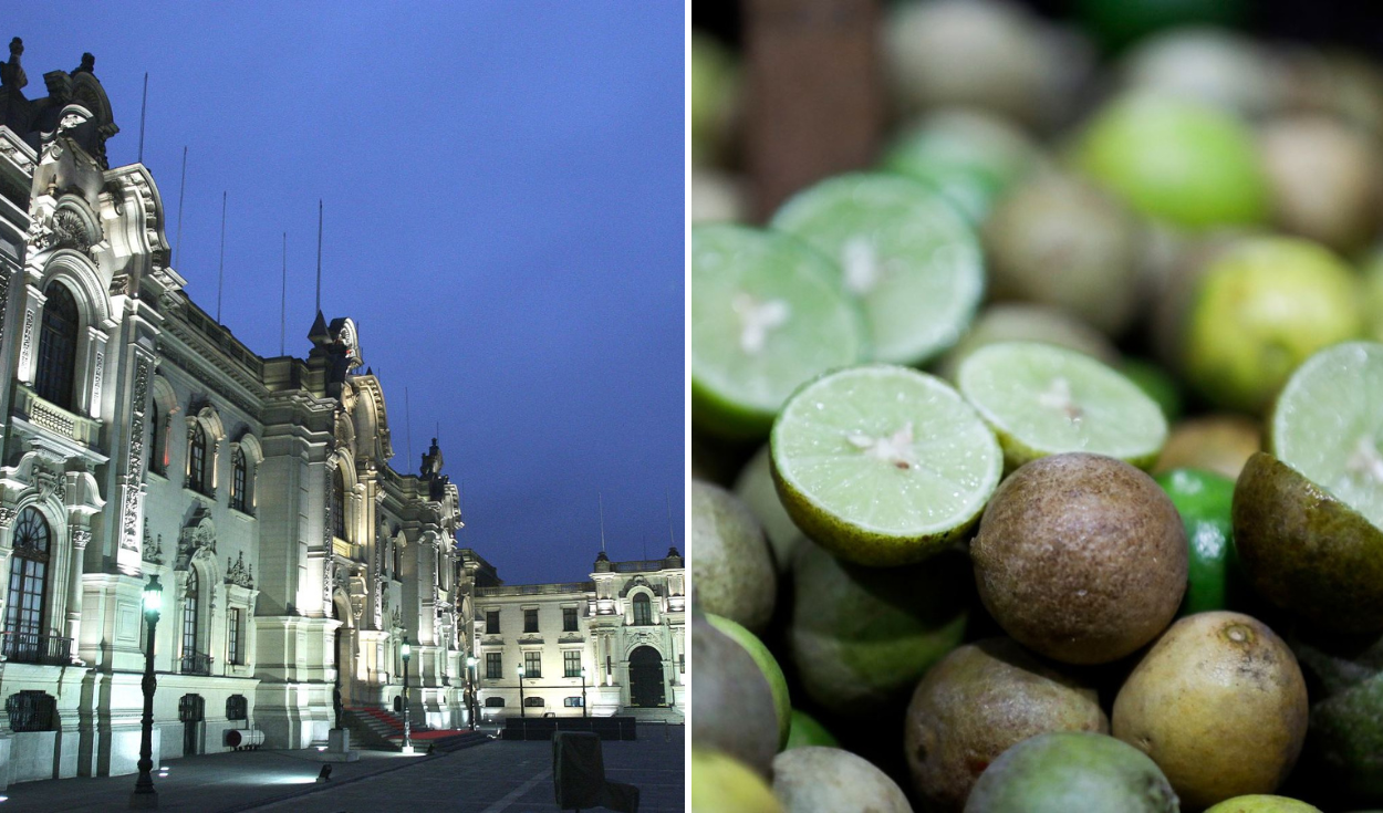 Cevicherías estarían usando ácido cítrico en polvo en lugar de limón 