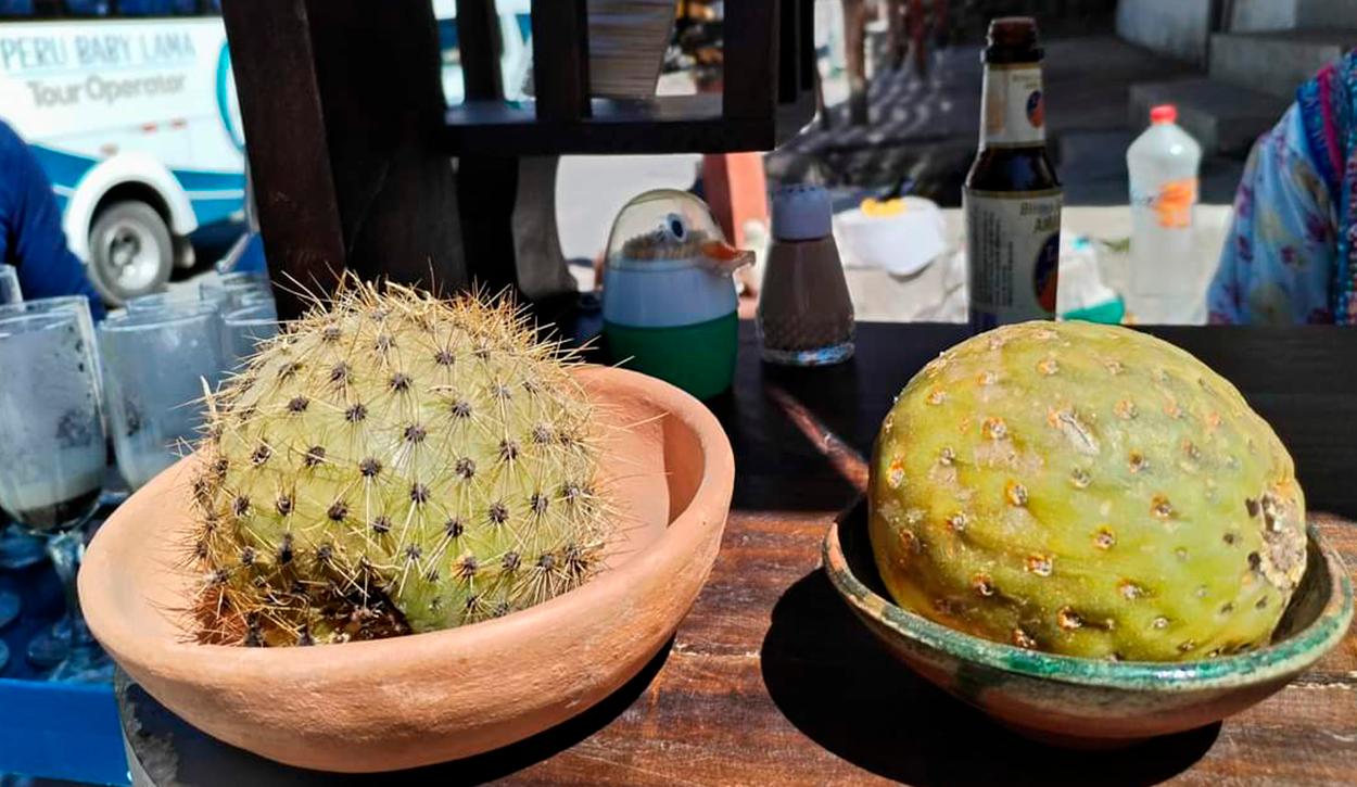 Sancayo, an alternative to the shortage of lemon in the markets