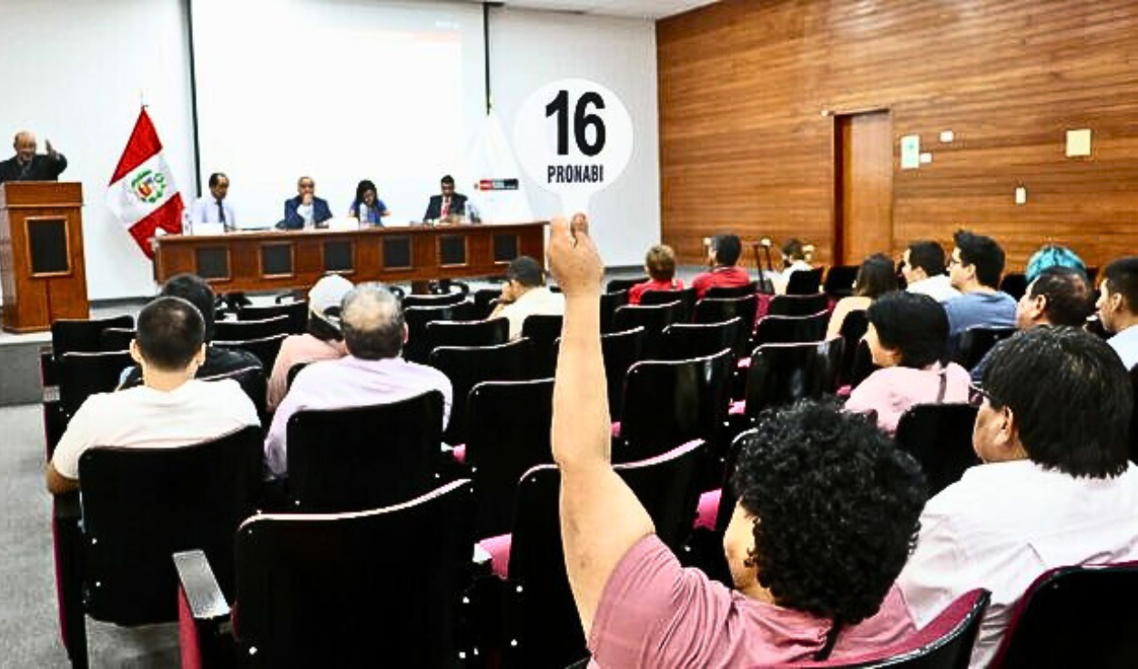 Pronabi real estate auction: what requirements do you need to participate and when will it be?