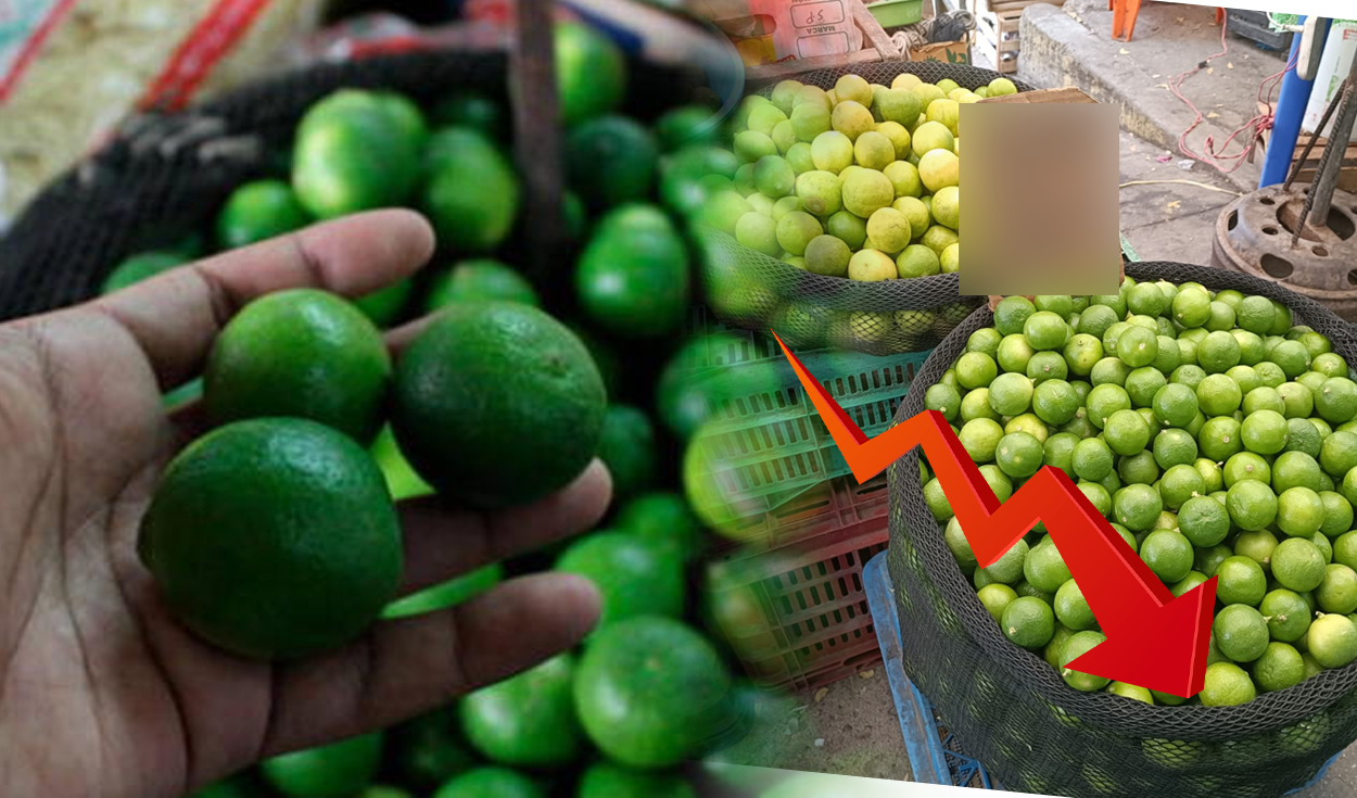 Lemon’s price is gradually decreasing in some regions: how much is it costing?