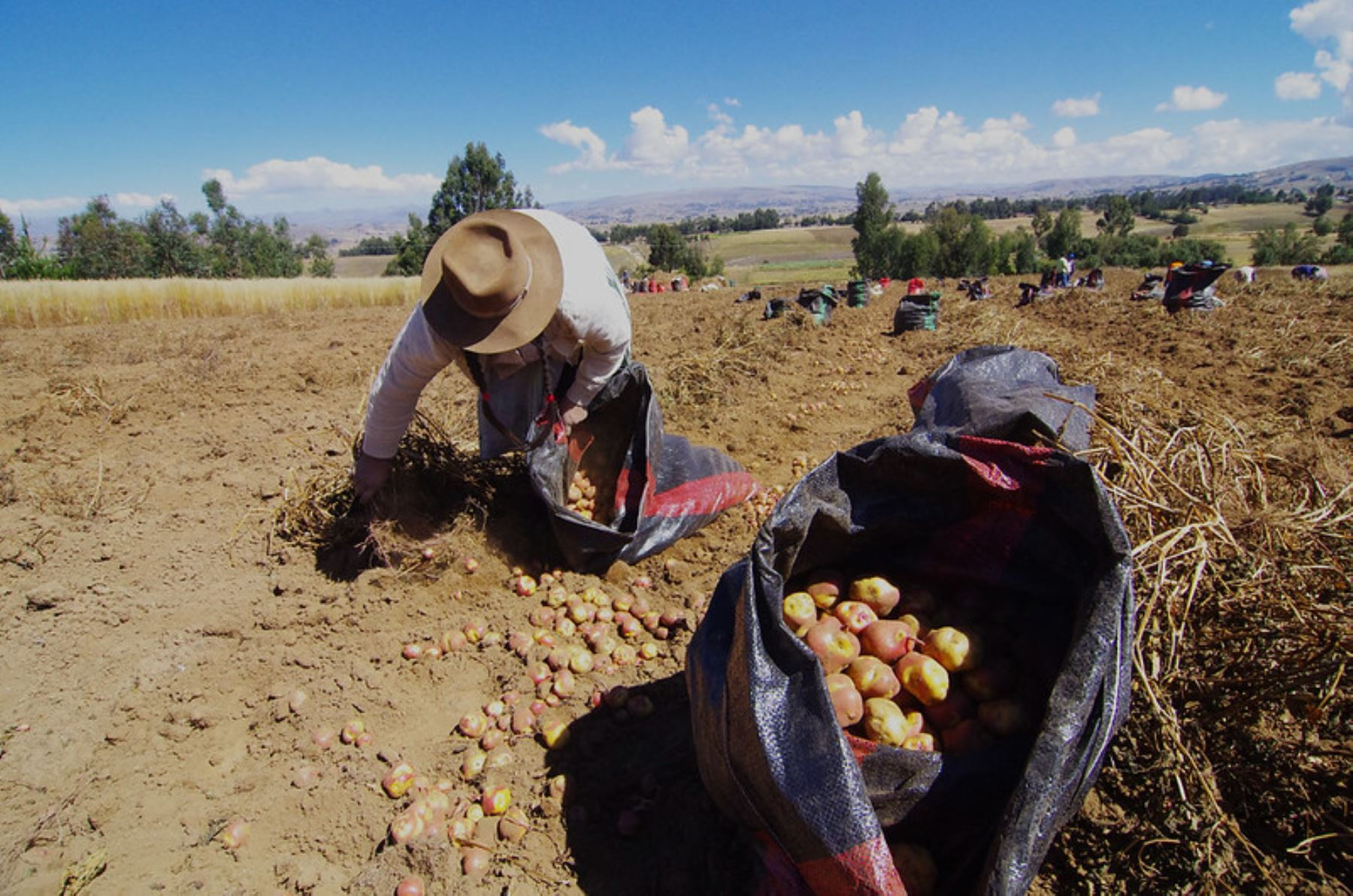 Congress proposes granting tax benefits to agricultural producers