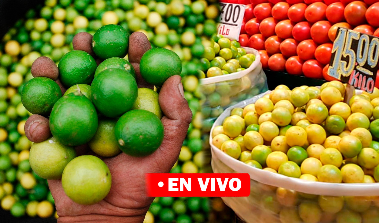 Price of lemon TODAY Monday, September 11: how much does a kilo cost in Lima and all of Peru