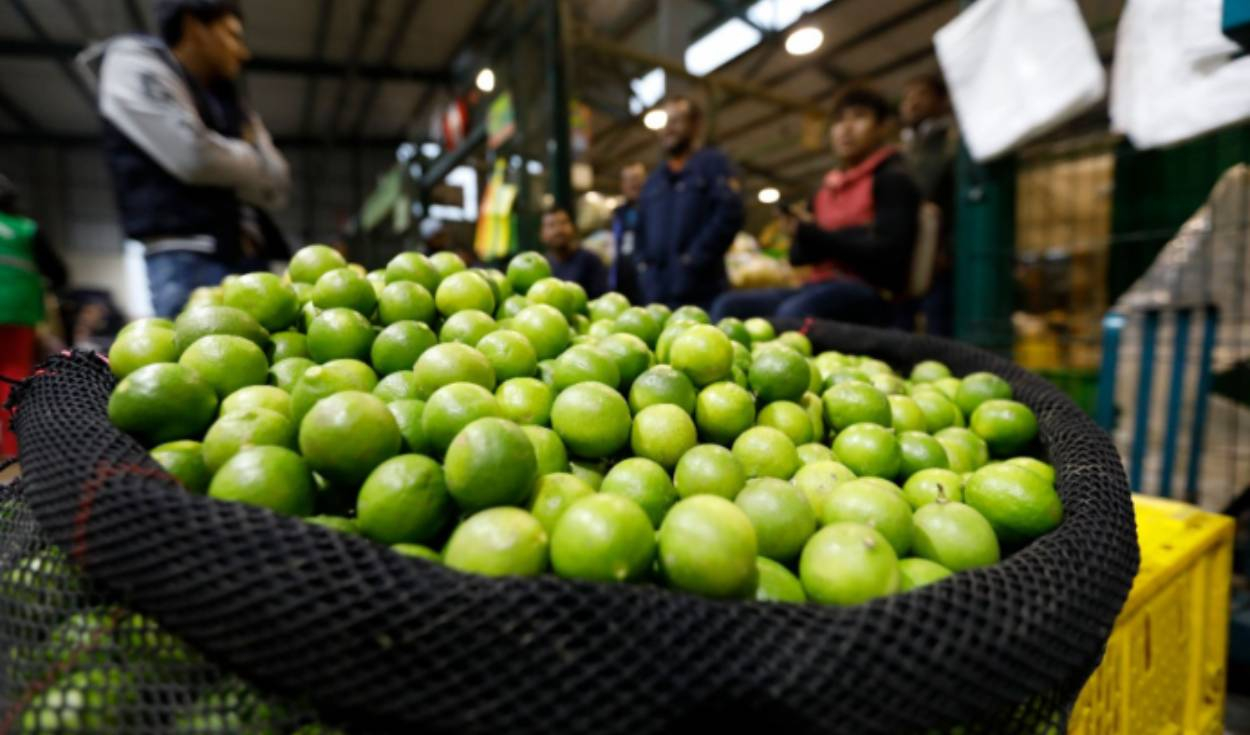 Lemon price stabilizes: how much does it cost in the Great Wholesale Market of Lima?