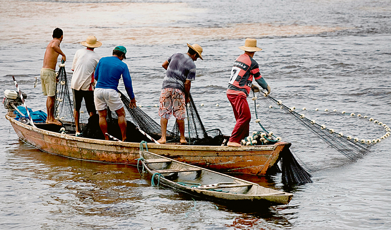 Produce: new bonus of S/700 will benefit more than 47,000 artisanal fishermen