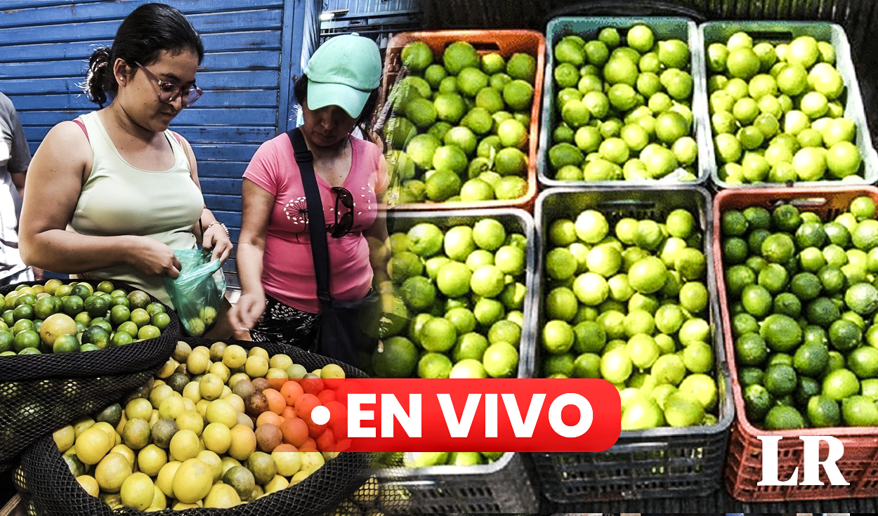 Price of lemon TODAY Tuesday, September 19: how much does a kilo cost in Lima and regions of Peru