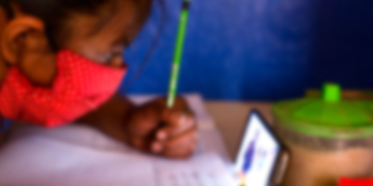 The State must promote free internet access with public and private investments