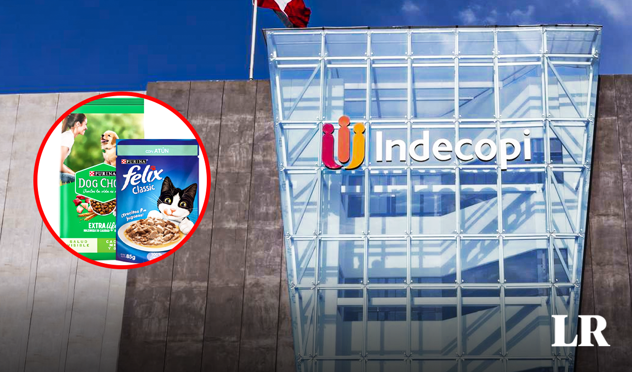 Indecopi orders the withdrawal of 28 Nestlé products for dogs and cats: why is this?