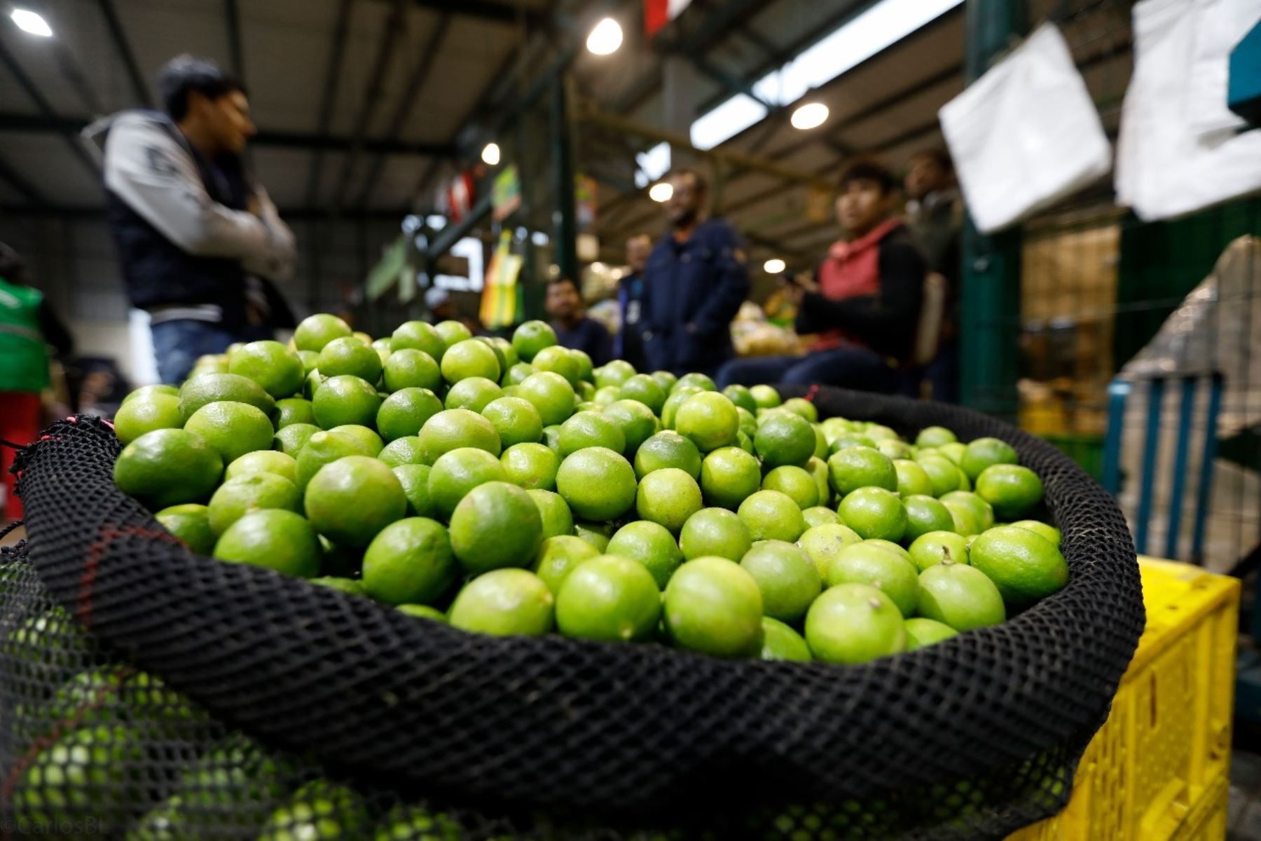 Price of lemon remains around S/9 per kilogram in wholesalers