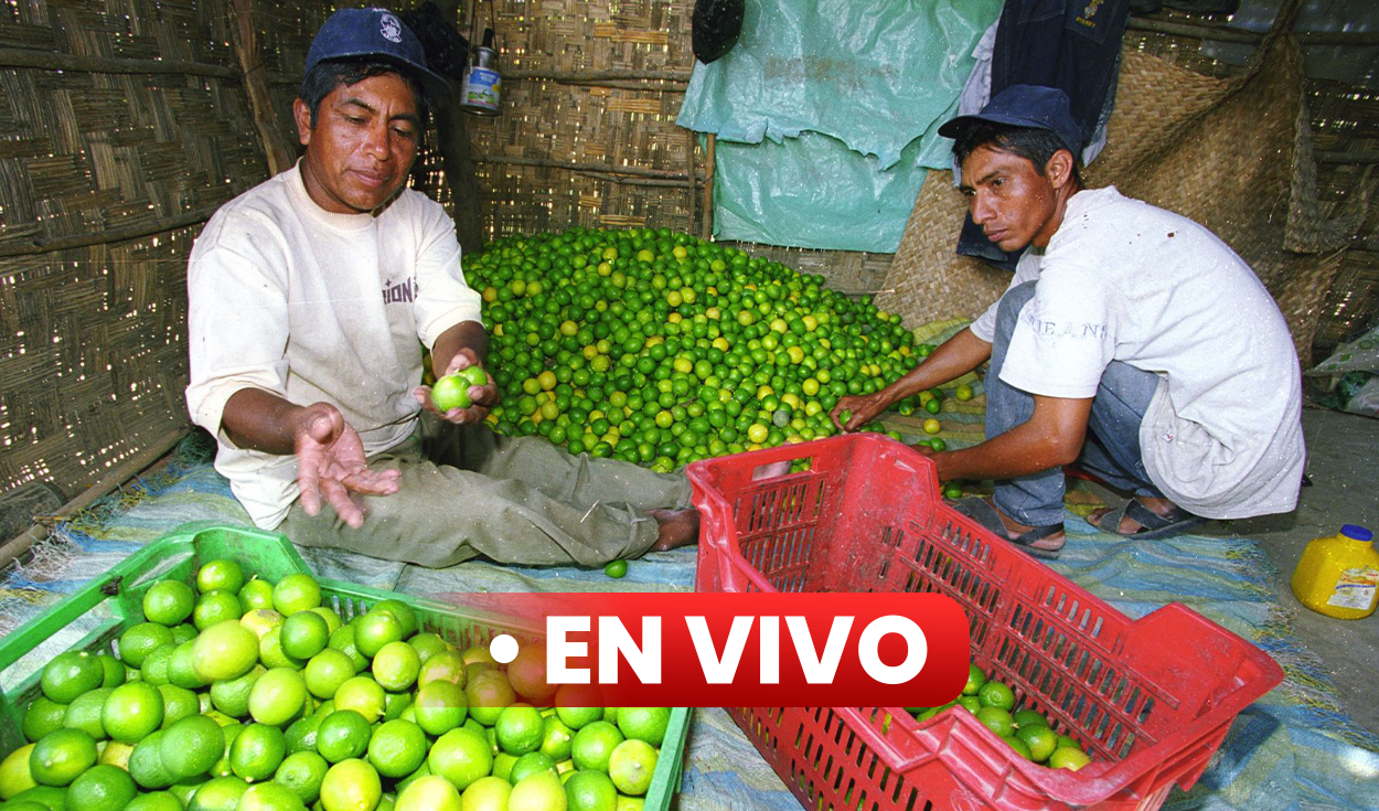 Precio Del Limón Hoy 7 De Octubre ¿cuánto Cuesta El Kilo En Lima Y