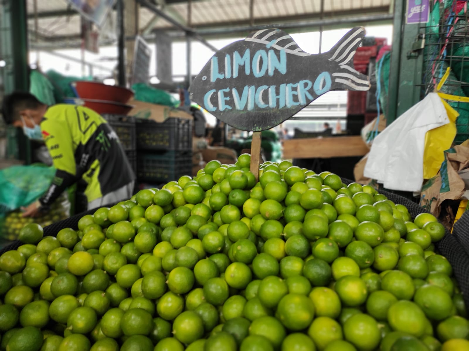 Wholesale price of lemon has fallen up to 54% so far in October