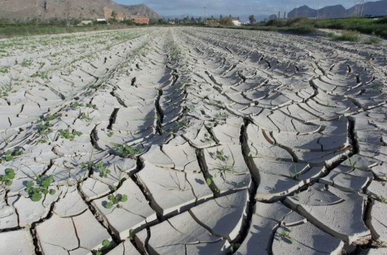 FAO: US$3.8 billion in crops and livestock have been lost due to disasters in the last 30 years