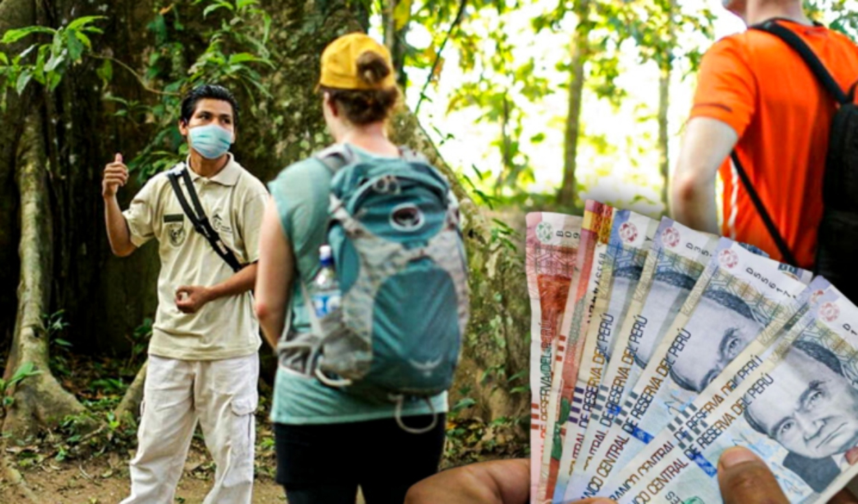 S/800 bonus for tourist guides: how to access the amount and what is known about this subsidy?