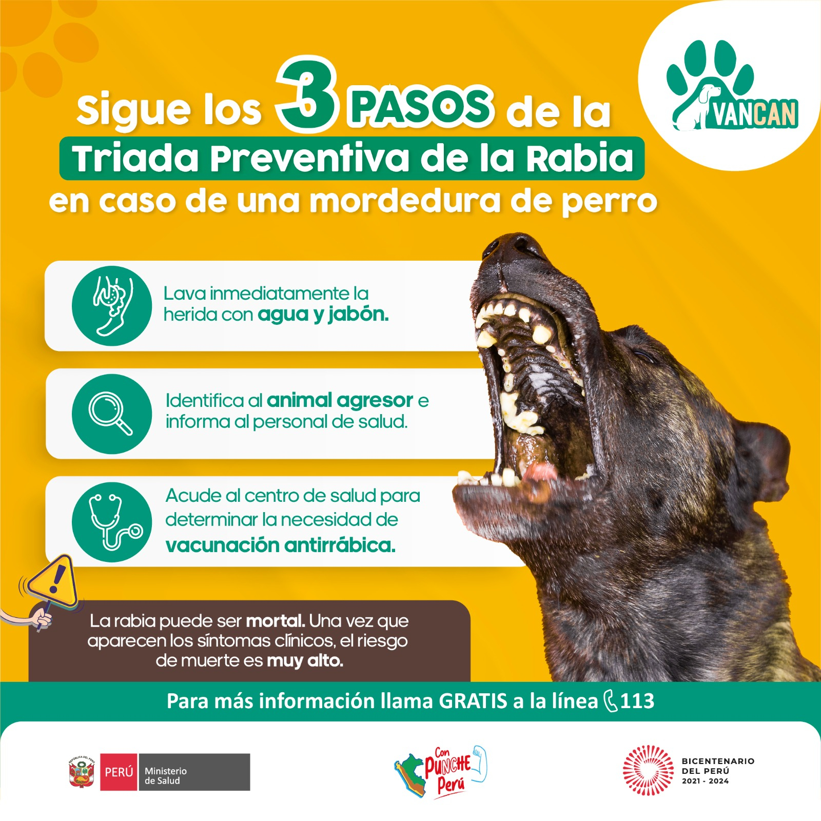 Rabia Rind Que hace la rabia en los animales | Portugalessence.com