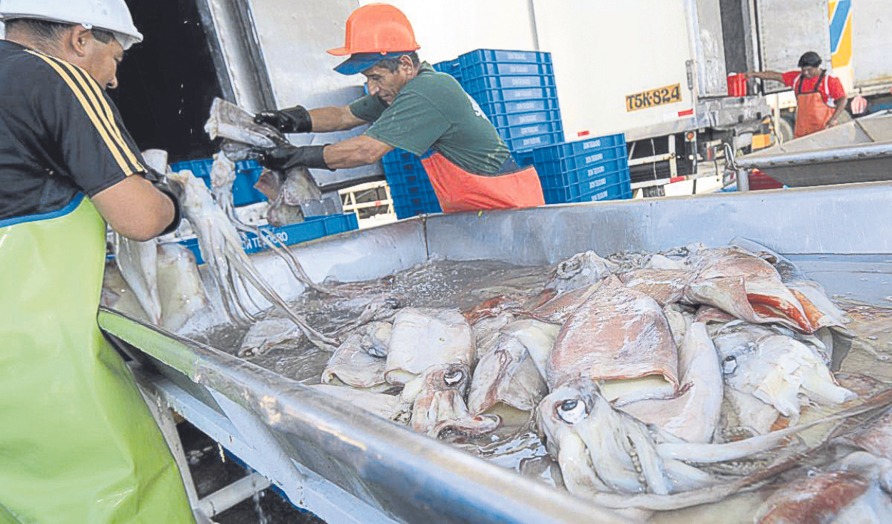 Proposal to expand Siforpa II puts fishermen’s income at risk