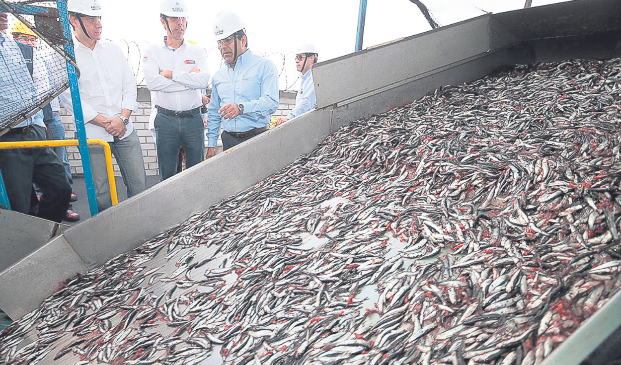 Produce authorizes second fishing season in full exploratory capture
