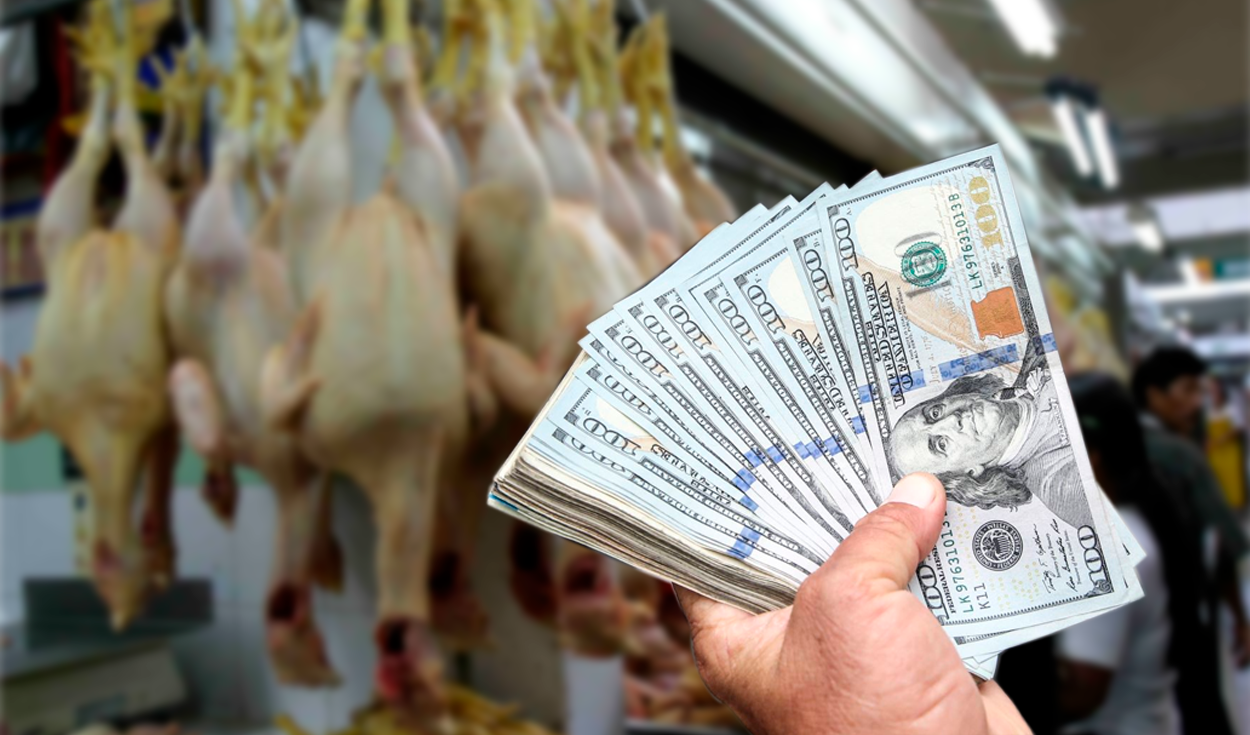 Exchange rate: how will the rise in the dollar impact the price of chicken and other products?