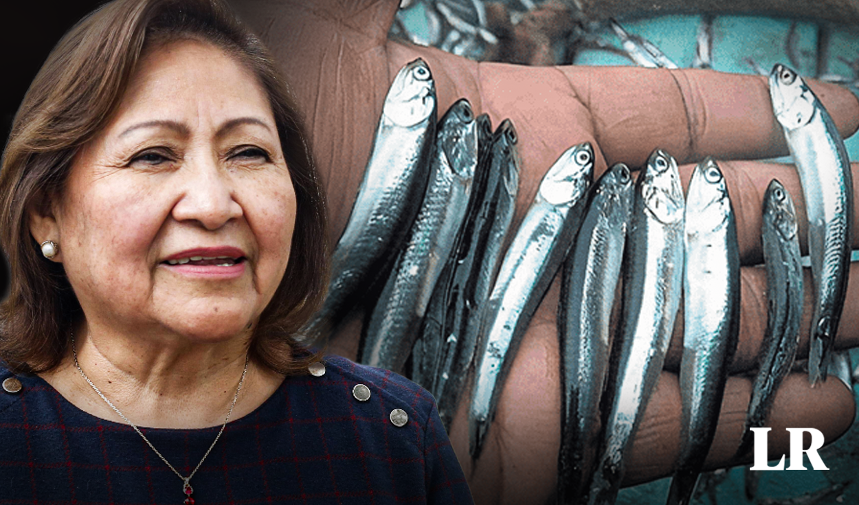 Produce: The minimum size of anchovy will not be modified nor will the fishing quota be increased