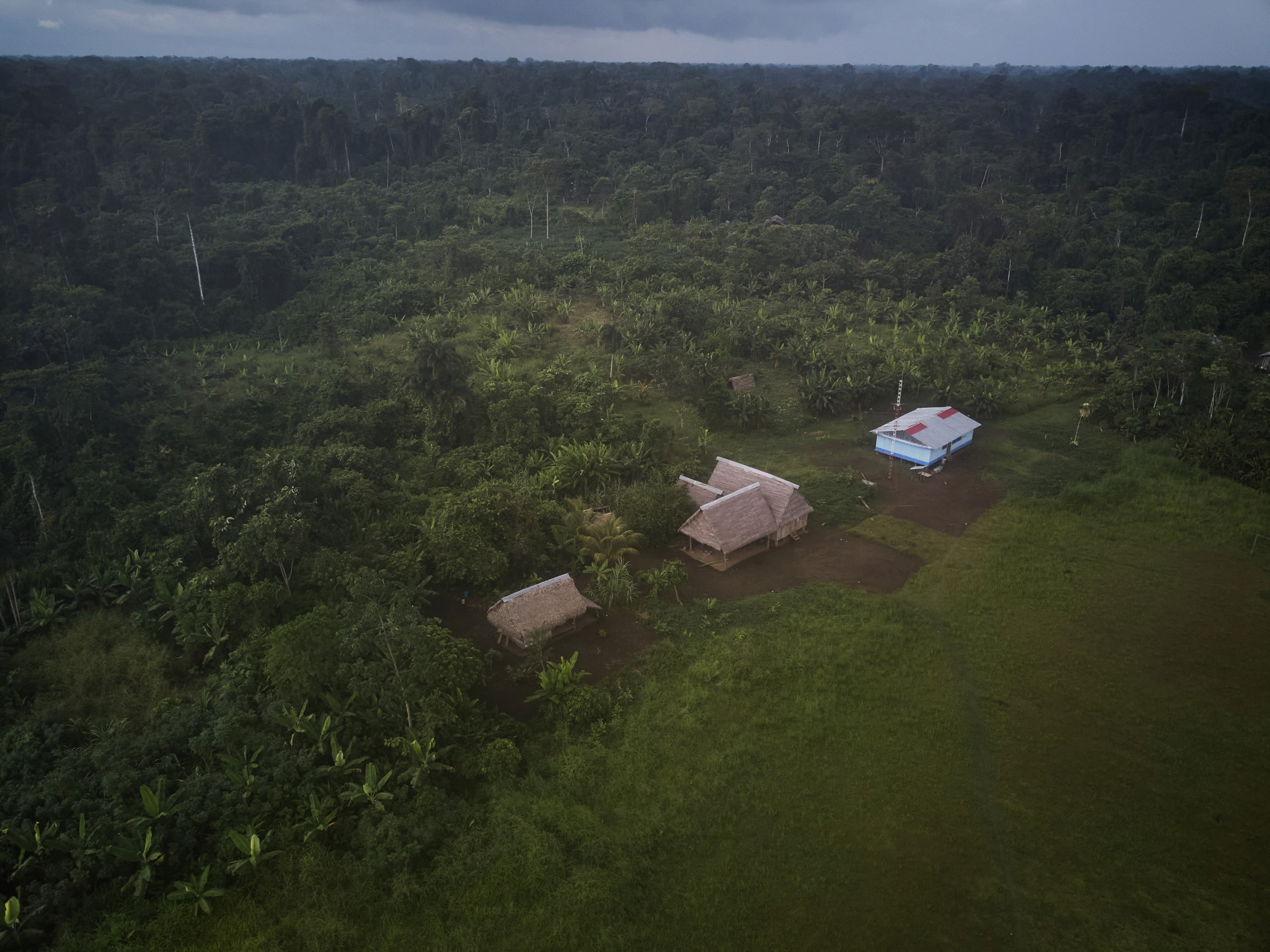 Autonomous Territorial Governments of Indigenous Peoples: Proposal to stop the climate crisis
