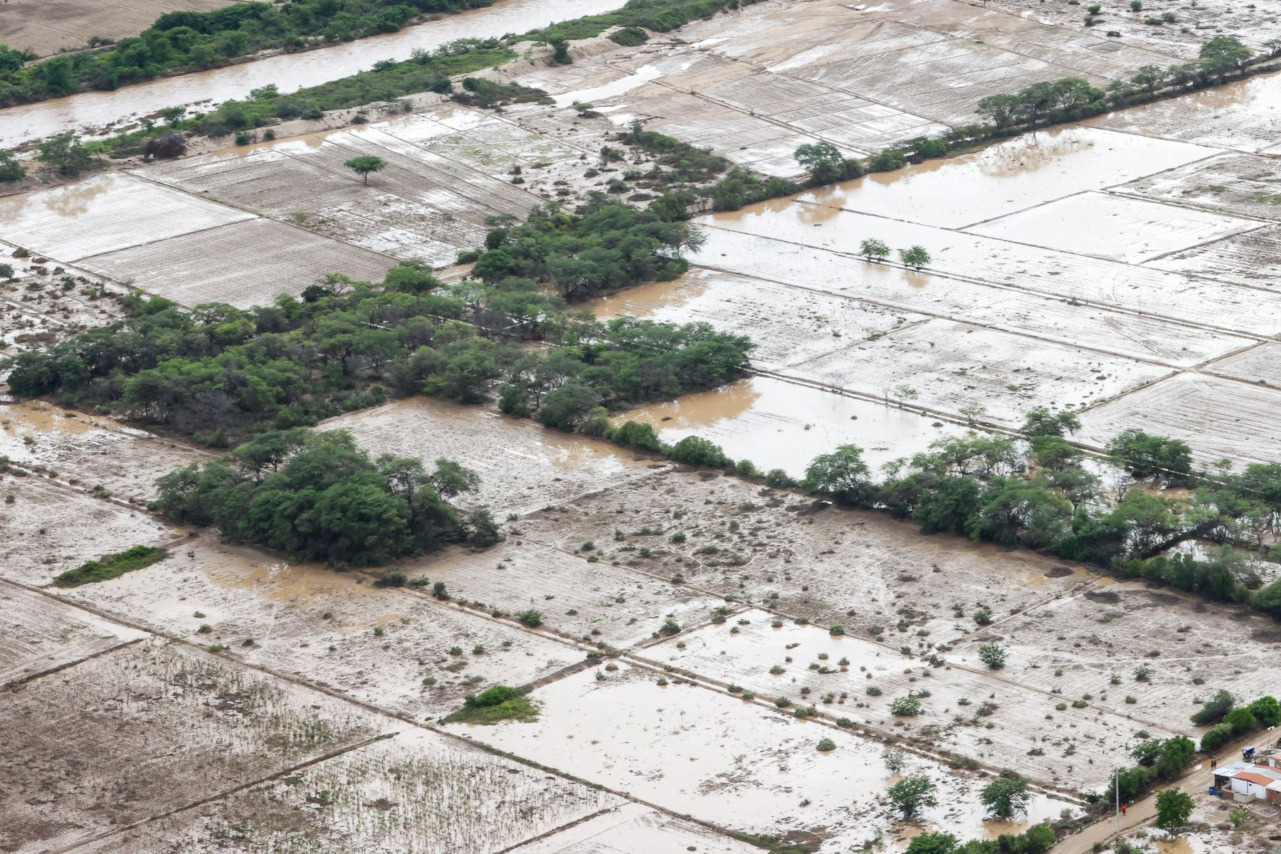 MEF: social conflict and climate crisis caused losses of almost S/12,000 million