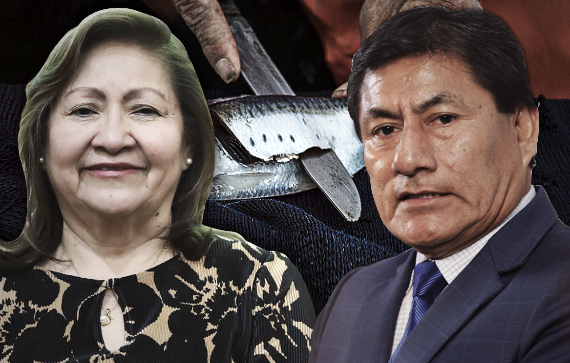 They present a claim for protection against the Somos Perú law that formalizes 2,000 illegal vessels