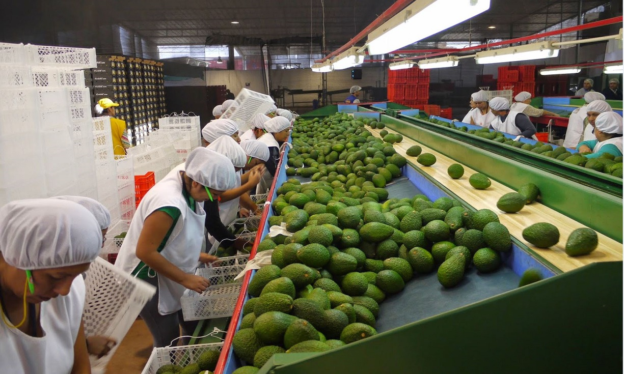 Unemployment increases in Trujillo and affects women more