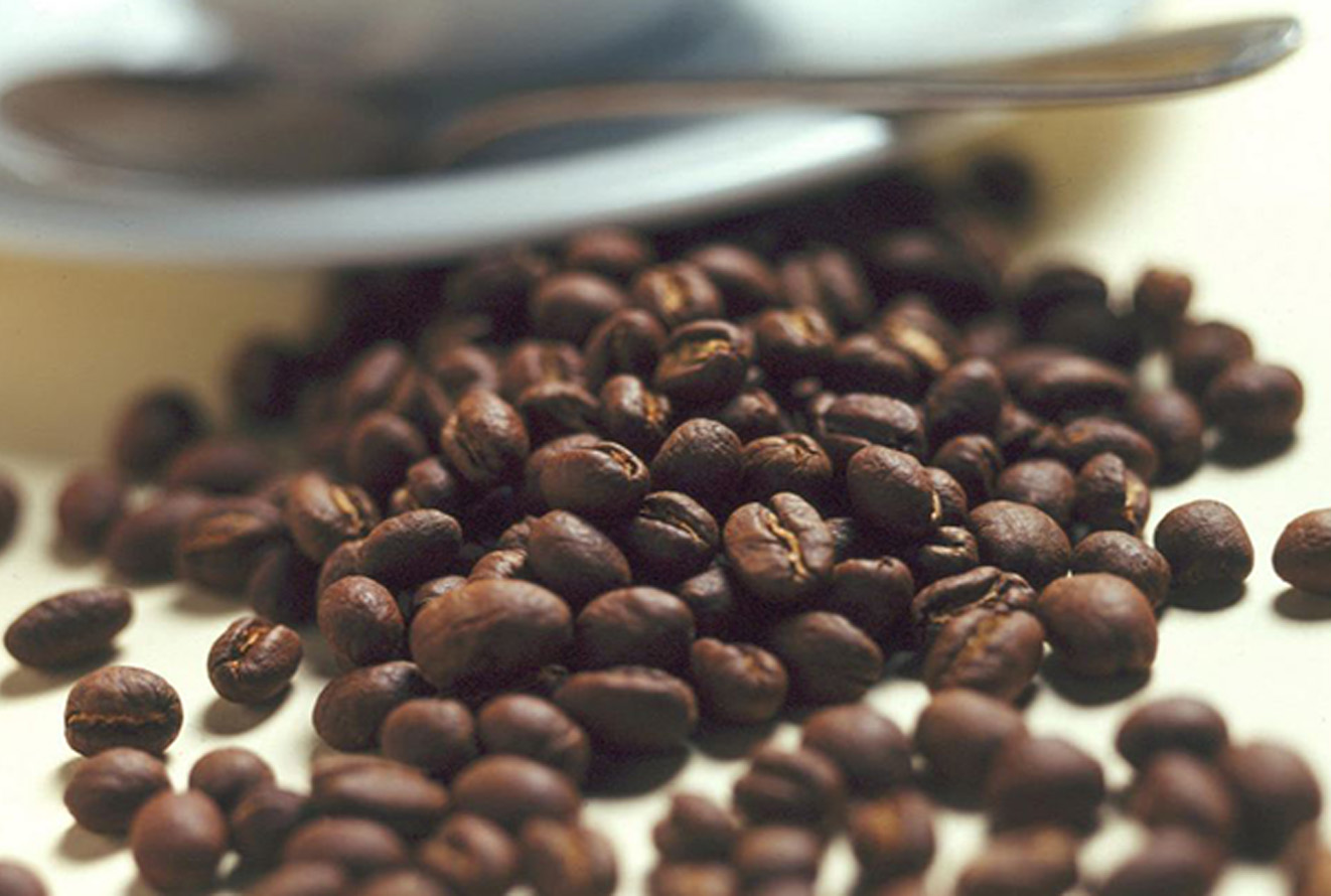 Expocafé 2023: sales commitments for more than S/1 million achieved at Business Roundtable