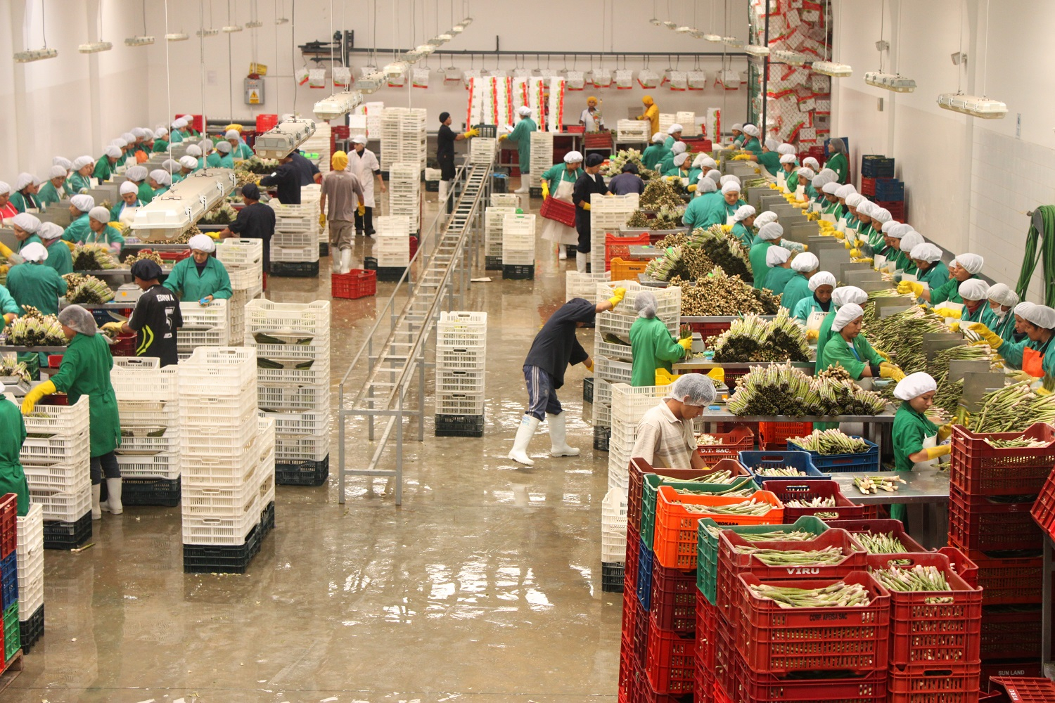 Adex: Peruvian exports as of October totaled more than US$52,000 million