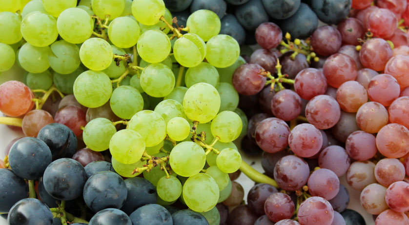 Port of Pisco doubles export record for 2022