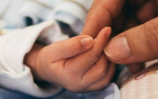 Economy Commission debates creation of a High Cost Fund to treat rare diseases