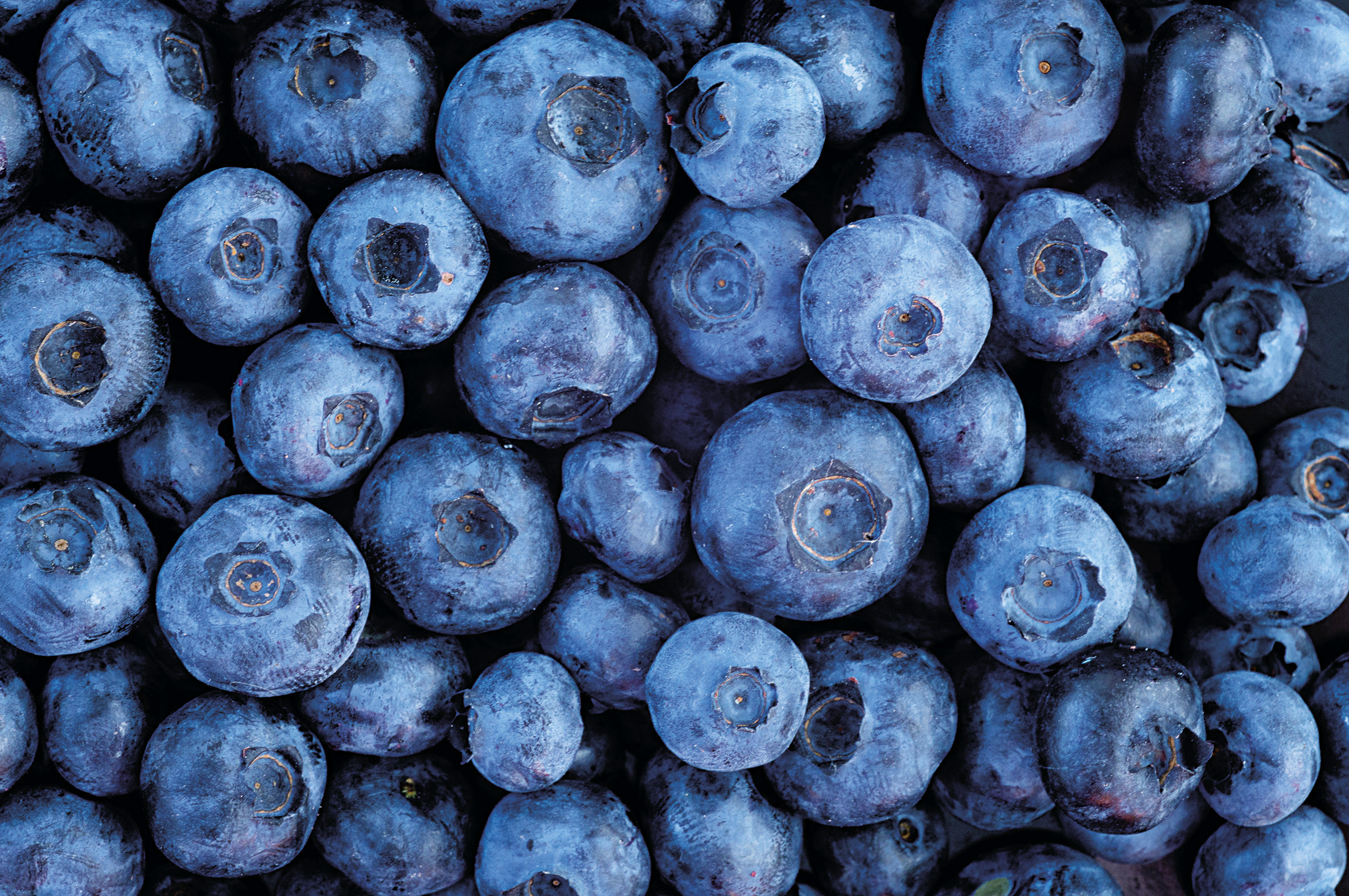 FAO: world trade in berries will surpass that in bananas in 2022, with blueberries leading the way