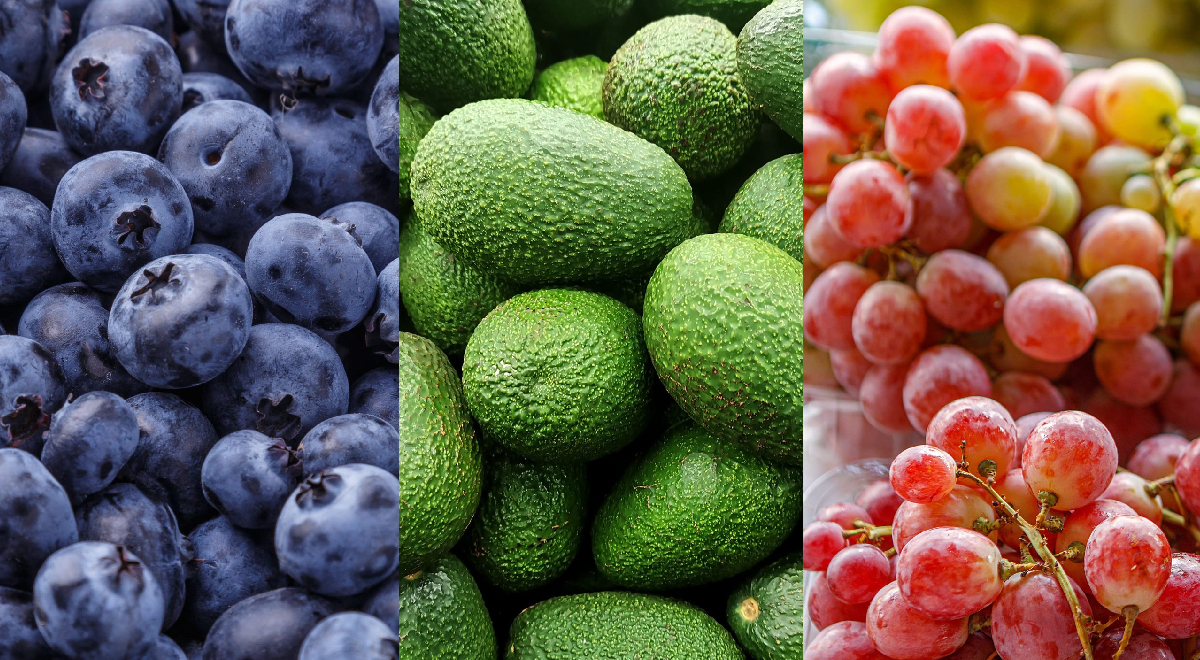 A total of 7,836 Peruvian companies exported between January and October: agroindustry led