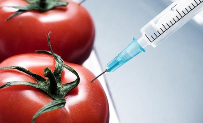 Transgenics in Peru: regulations that prevent the entry of LMOs are made official until 2035