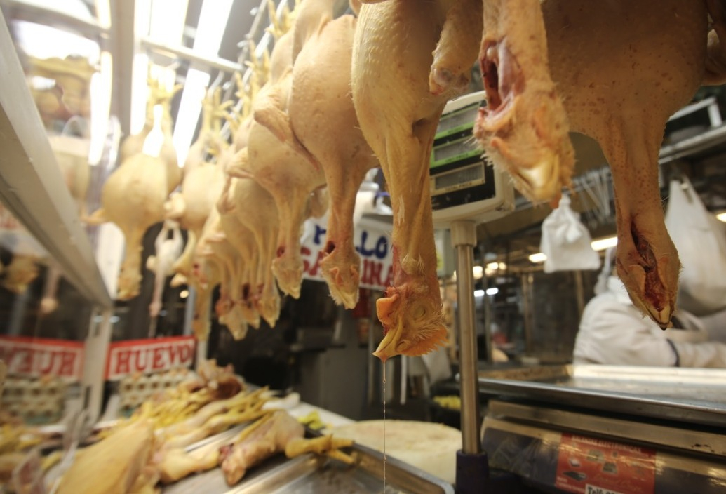 Inflation in 2023 was leveraged by food, education and hotel services