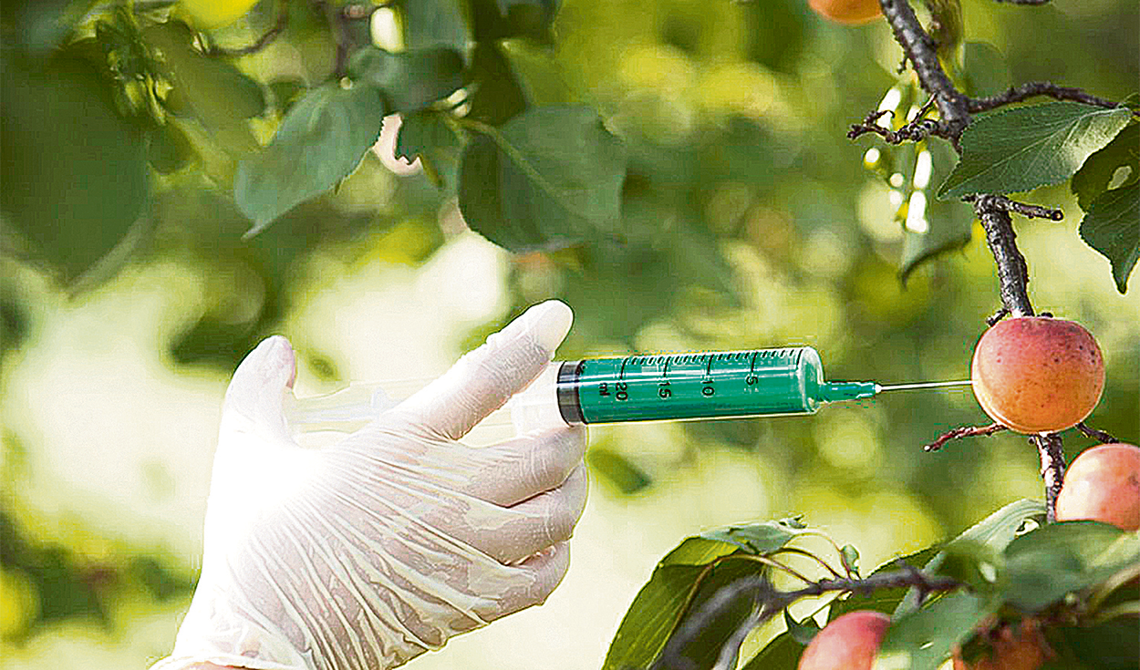 They regulate a moratorium on GMOs until 2035