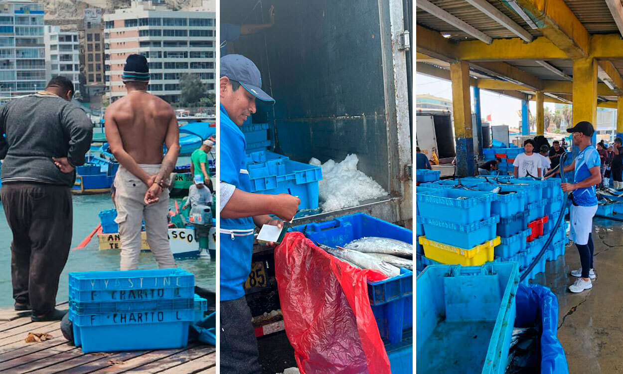 Fishermen and merchants from Ancón will lose up to S/400 per day due to beach closures